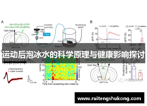 运动后泡冰水的科学原理与健康影响探讨