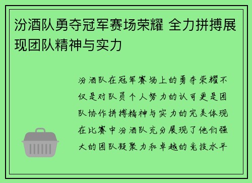汾酒队勇夺冠军赛场荣耀 全力拼搏展现团队精神与实力